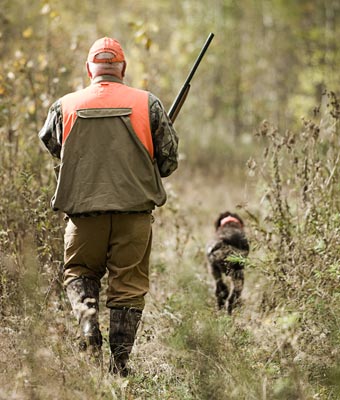 hunter-dog
