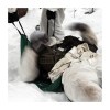 15991-4-epwm_07302_lynxgear.lv