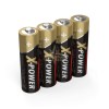 Alkaline-XPOWER-115V-AA_bu-4_lynxgear