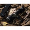 Dobermann__1_