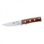 TK1_desert_ironwood
