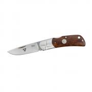 TK3ic_desert_ironwood