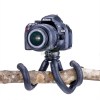 TR-050-DSLR_tree-branch_LYNXGEAR.lv